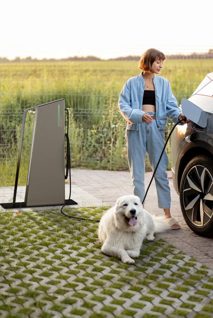 Rheidon elektromos autó töltőoszlop (22 kW) – 3x32A – 6m – Type 2 Töltőoszlop