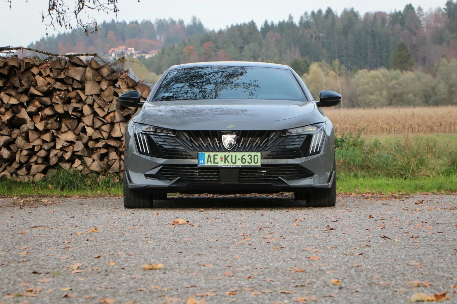 Zöld rendszám (2) zöld rendszám,tisztán elektromos,zöld rendszámos,zöld rendszámmal,jár a zöld rendszám,elektromos autók,ingyenes parkolás,kia soul ev,